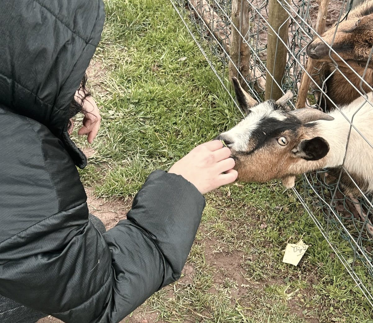 Naiara con una cabra