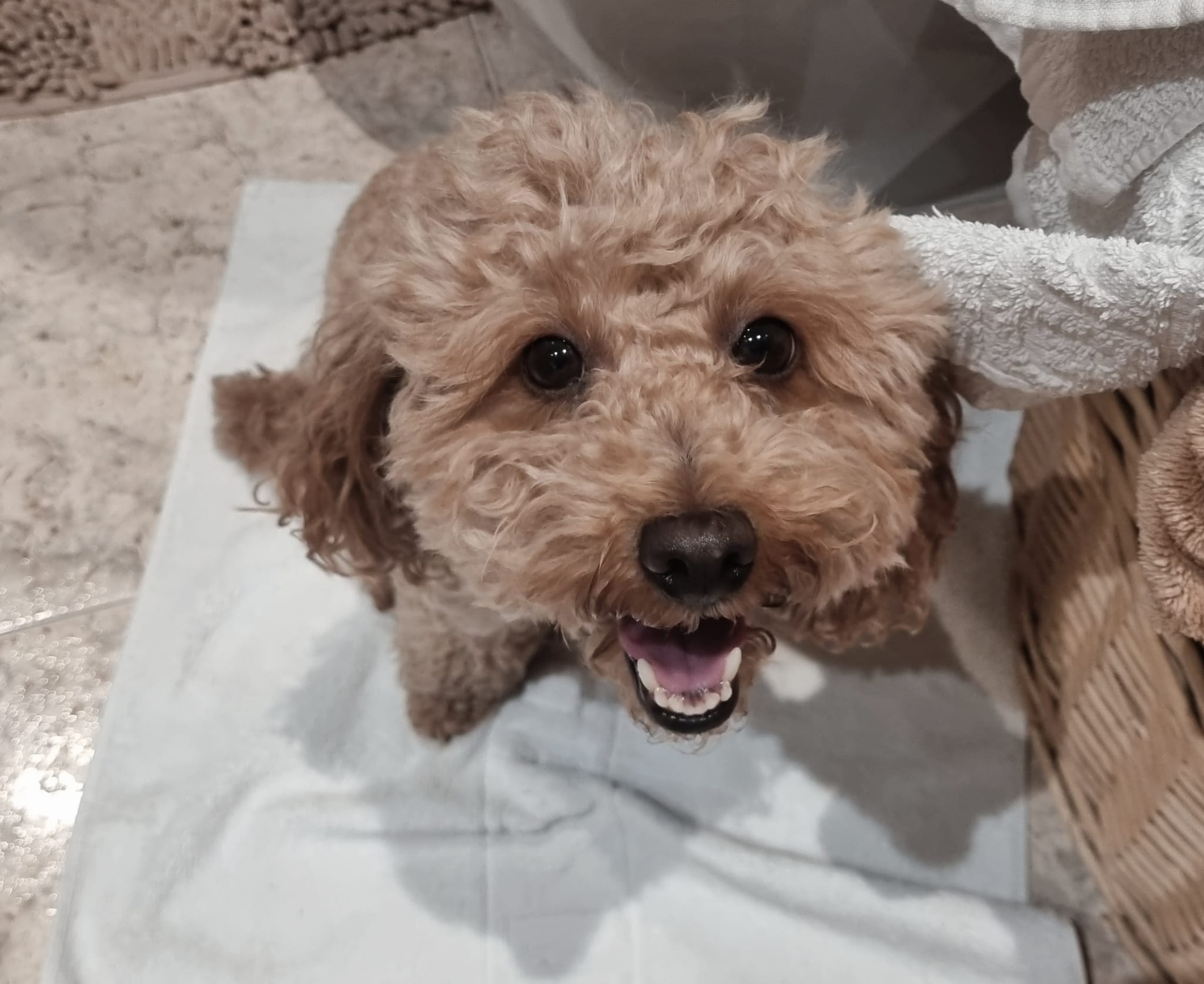 Lady después del baño