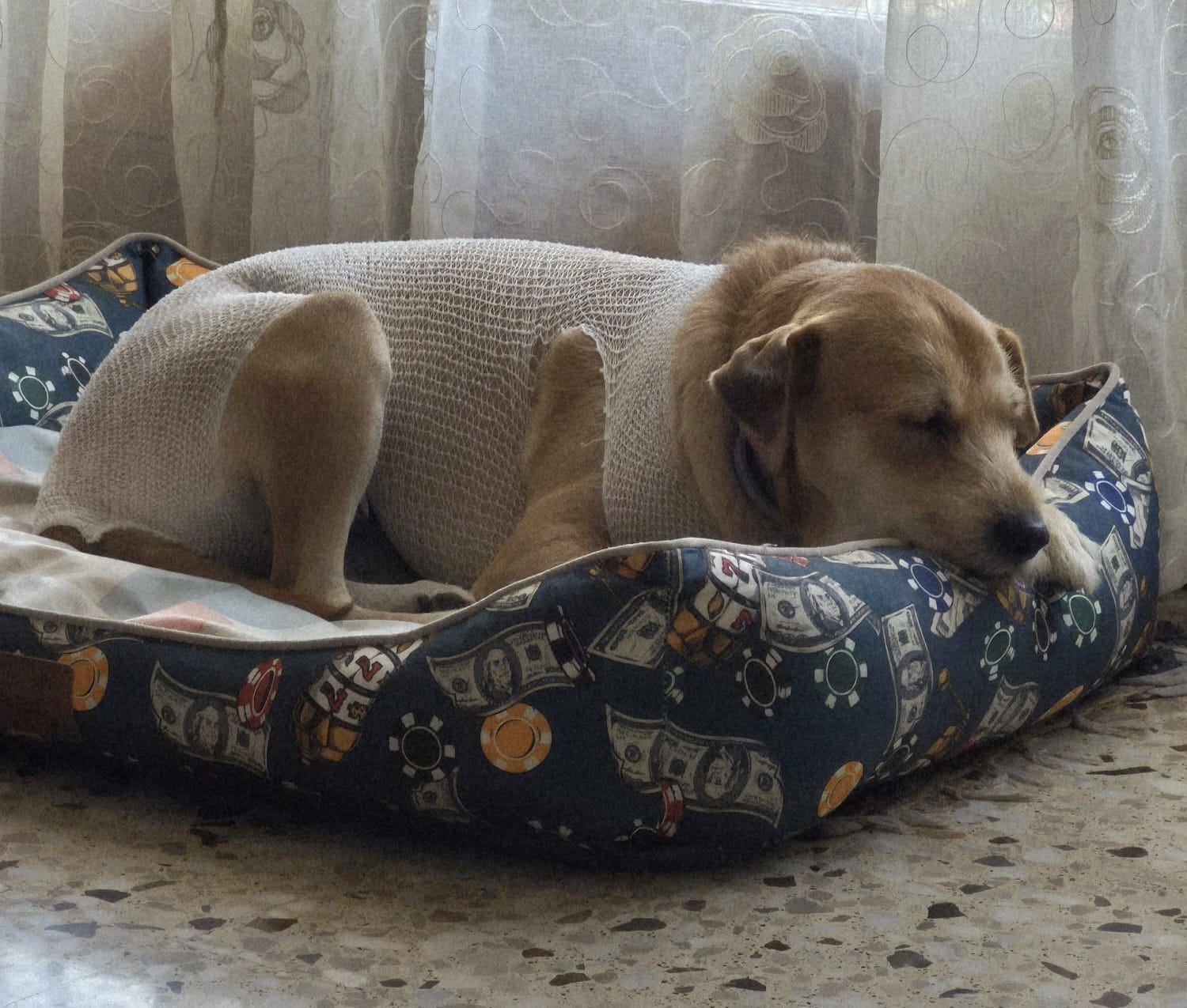 Leia recuperándose